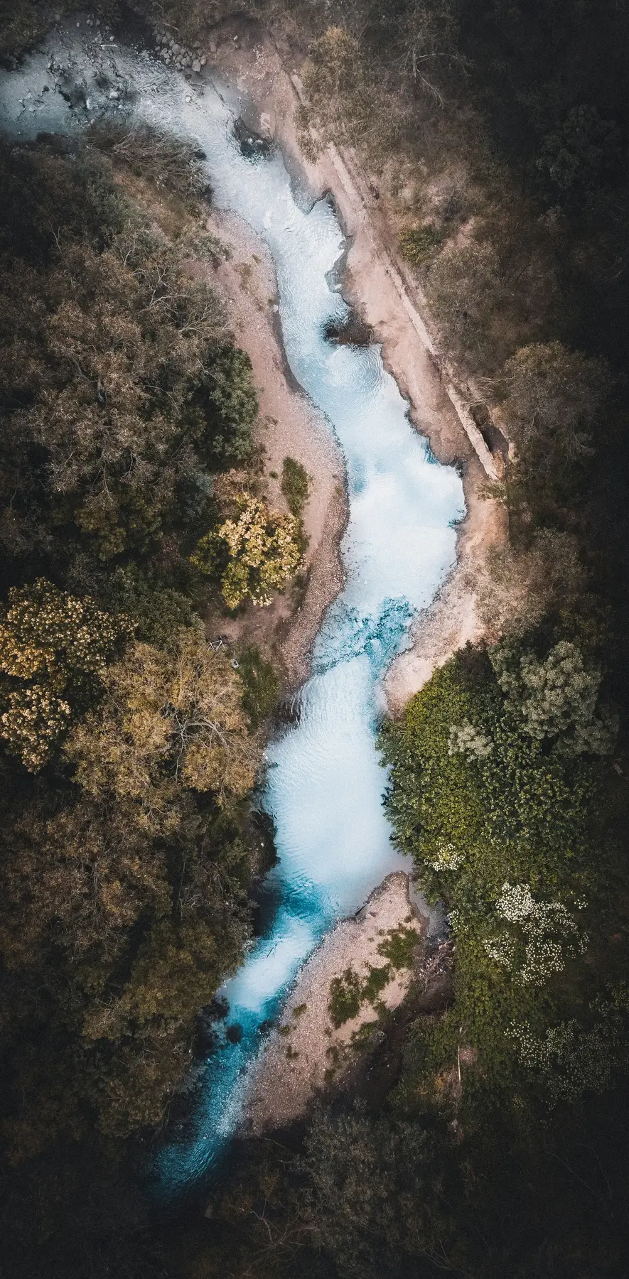 A river moving through a living landscape